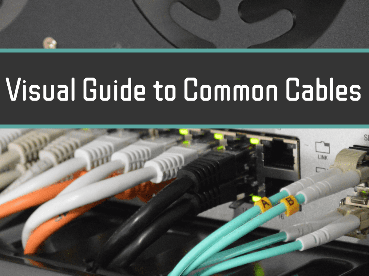 Cable Glossary: Common Connections in Your Studio