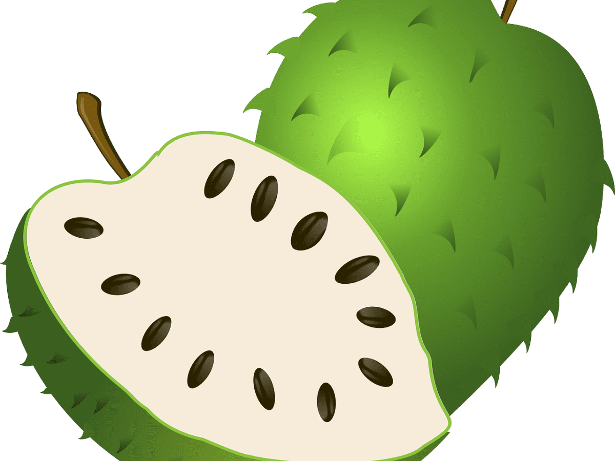 15 Health Benefits Of Guyabano Soursop Leaves Hubpages