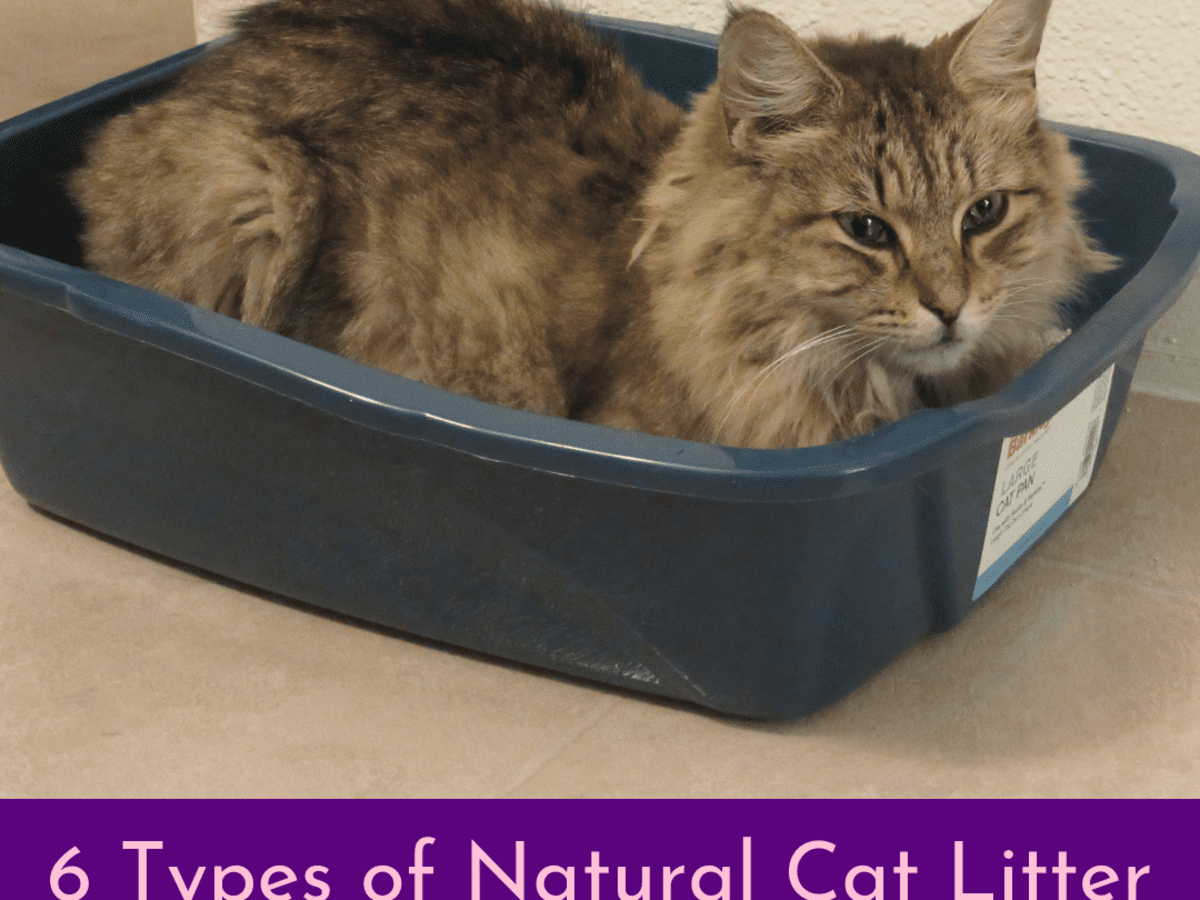 perfect kitty litter