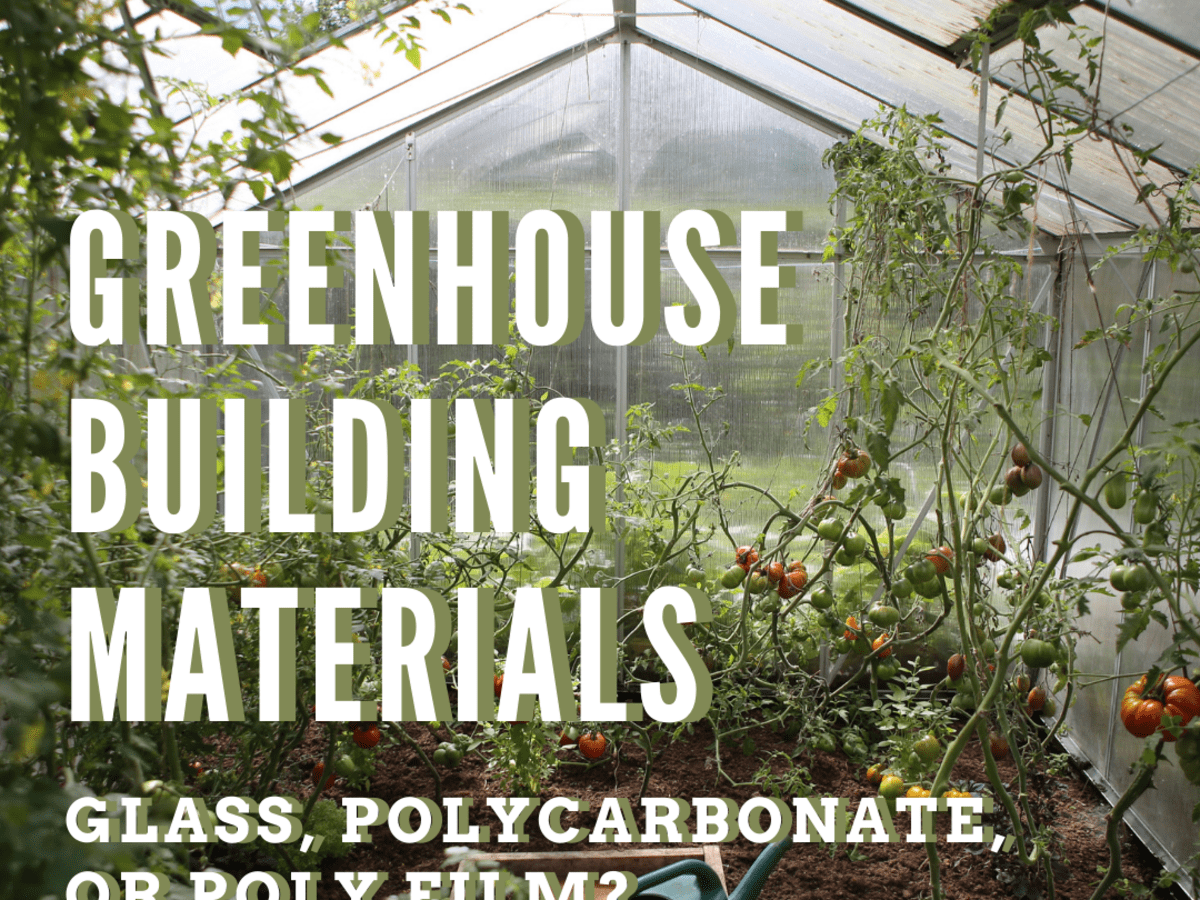 Make Your Greenhouse Roof Durable & Secure with Polycarbonate Sheets for Added Strength
