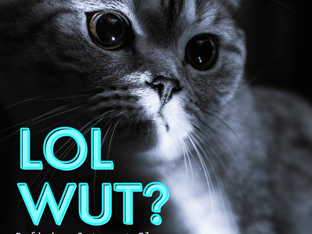 Wug Life — Not Laughing Out Loud: The Actual Meaning of Lol