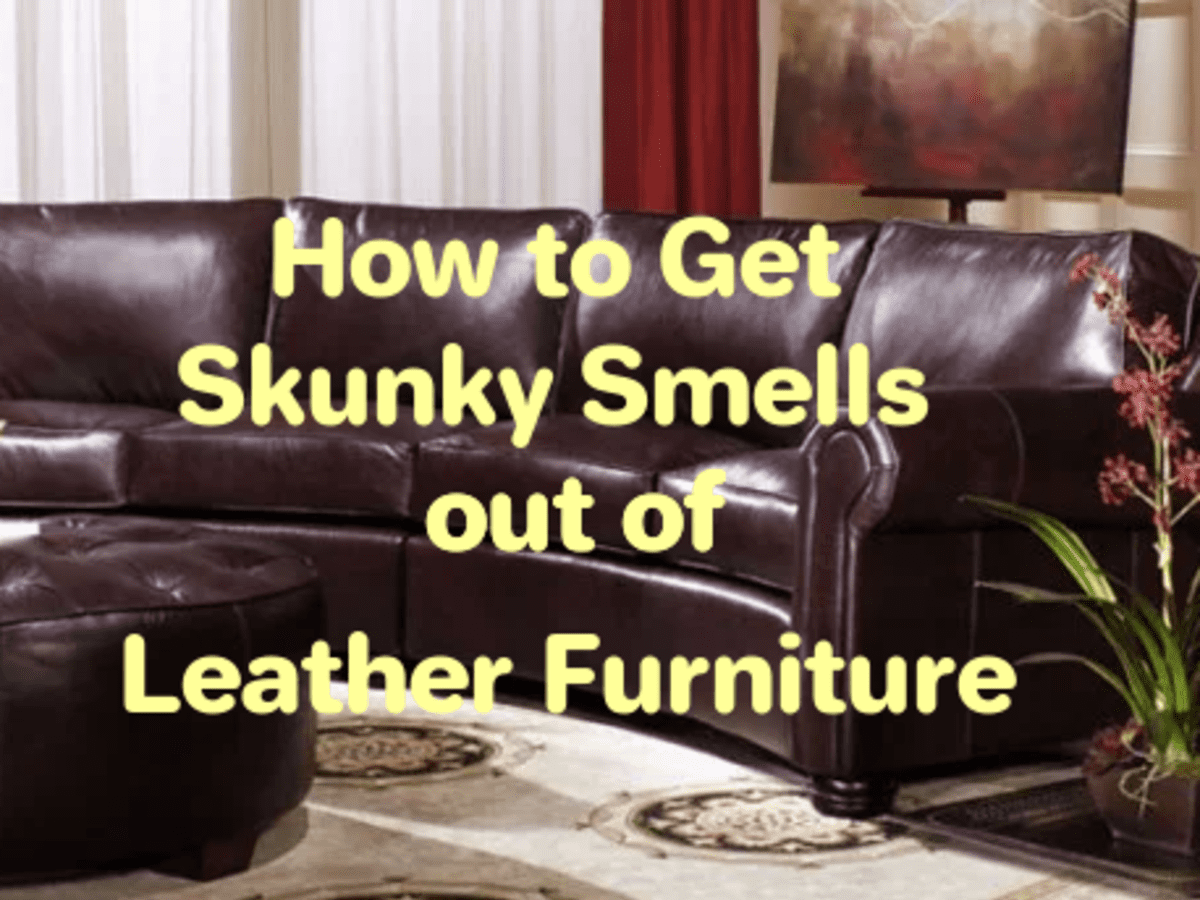 Stinky Smells Out Of Leather Furniture, How To Keep Cats Off Of Leather Furniture