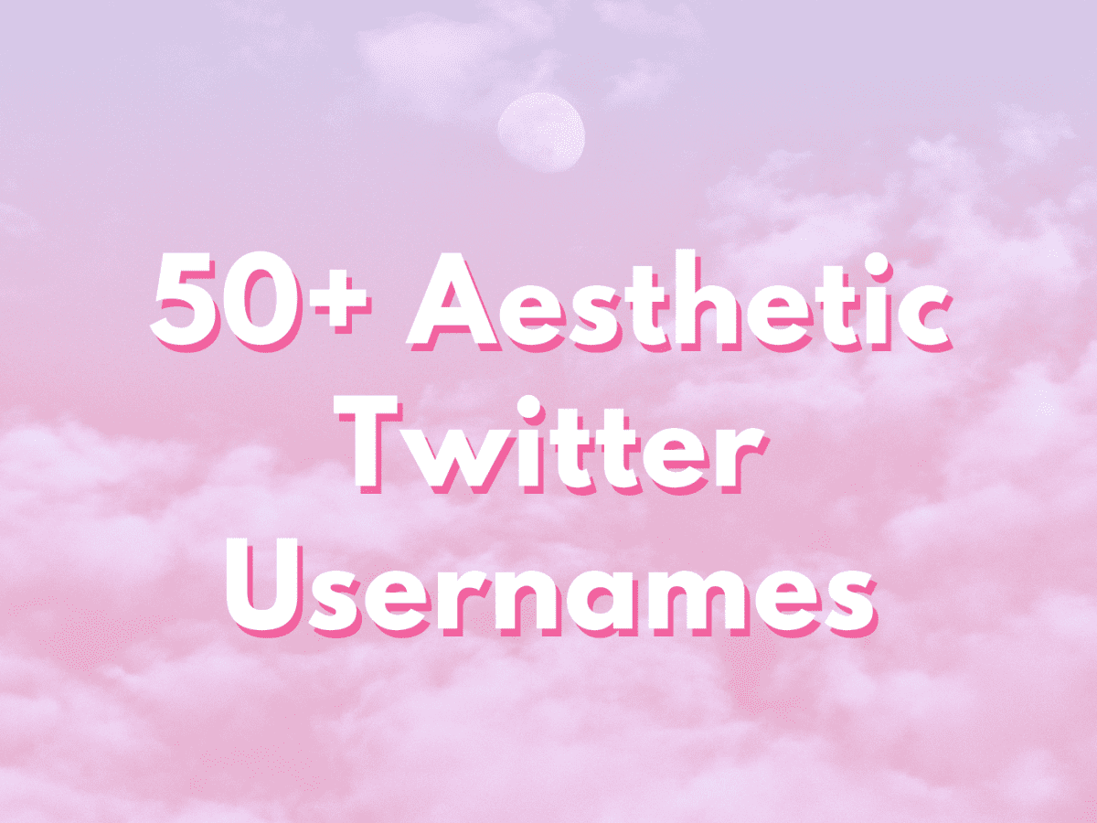 50+ Aesthetic Twitter Usernames and Ideas: The Ultimate List ...