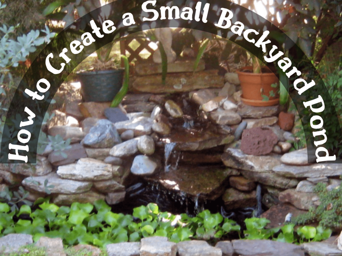 How to Create a Small Backyard Pond - Dengarden