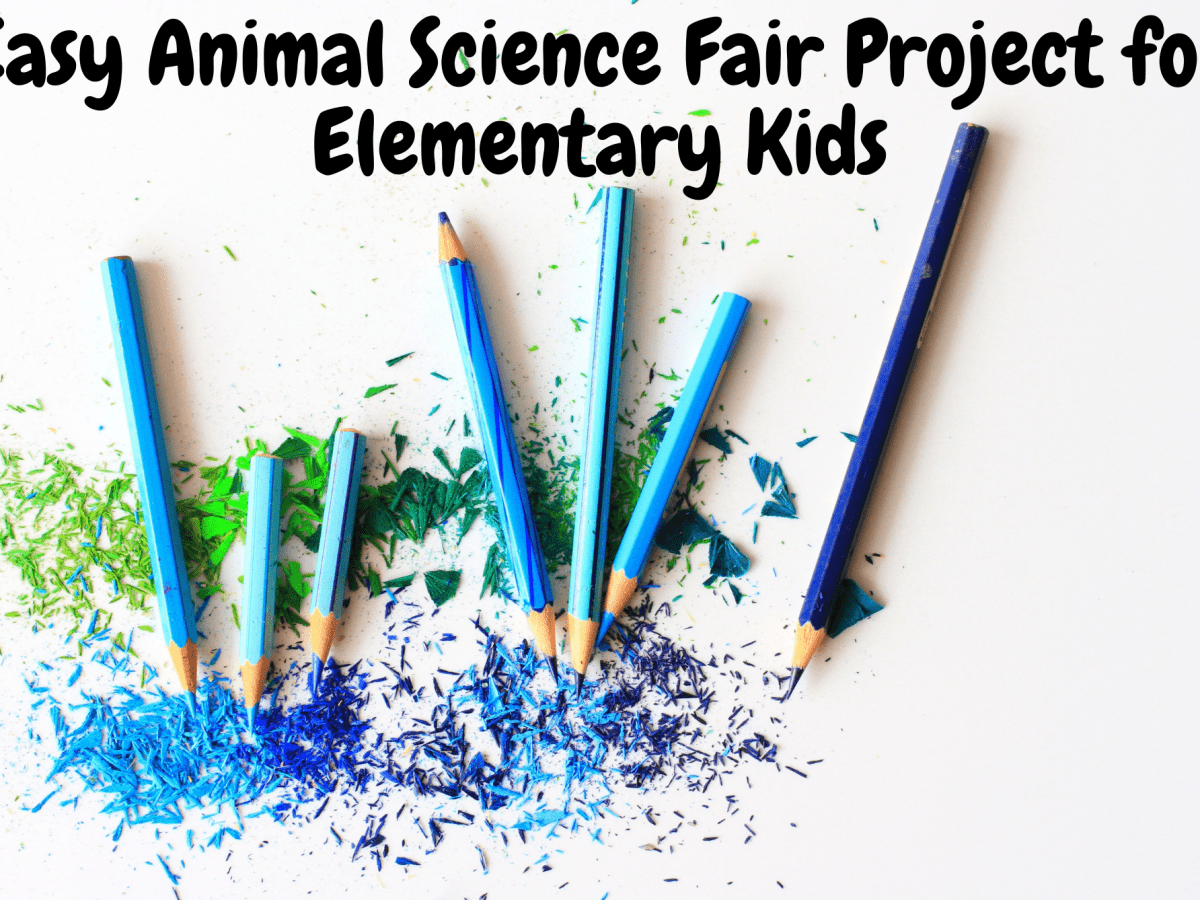 science fair projects for 7th grade about animals