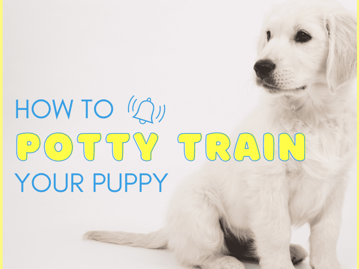 bell potty training method