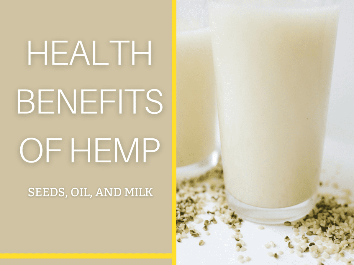 Hemp Milk Nutritional Benefits Besto Blog