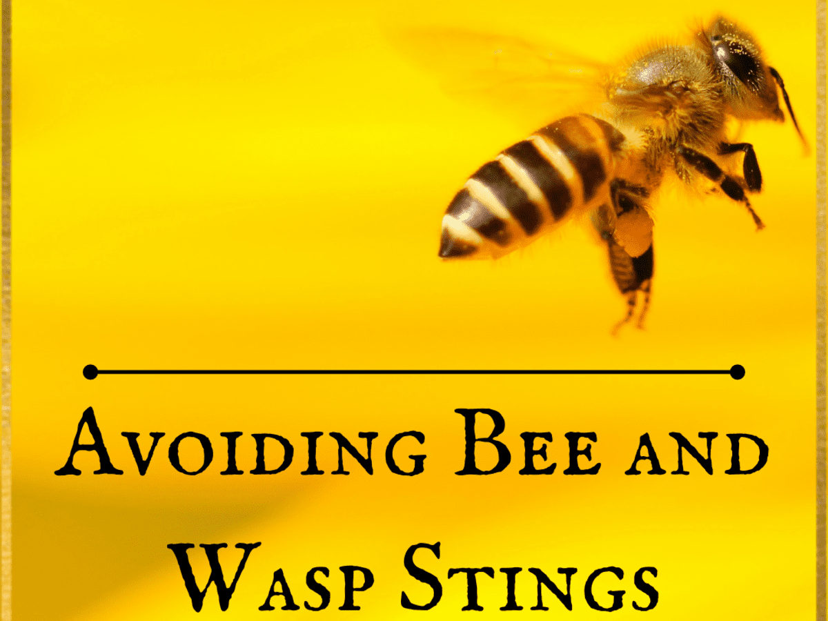 How to Avoid Bee and Wasp Stings - Dengarden