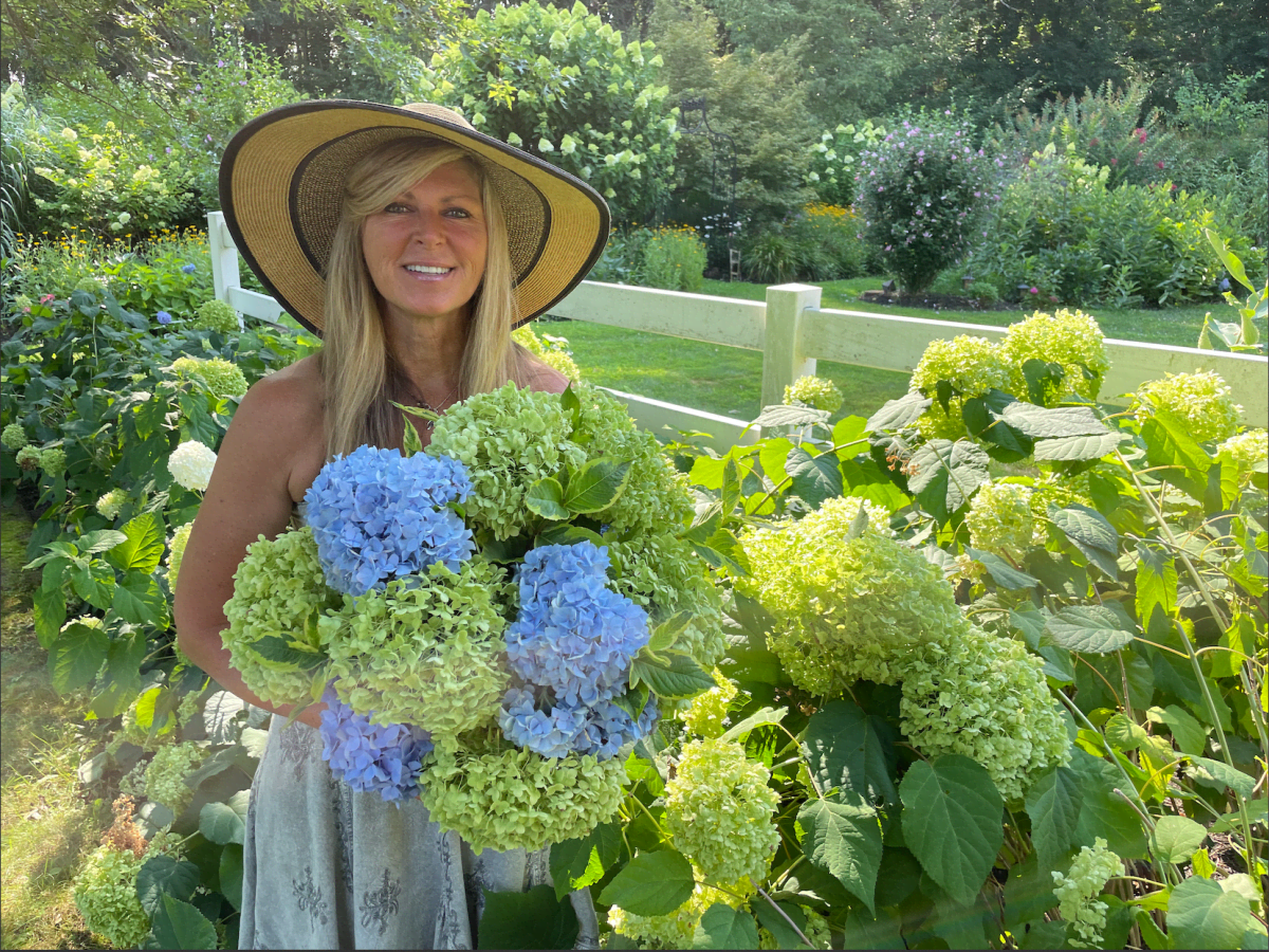 How To Dry Hydrangea Flowers