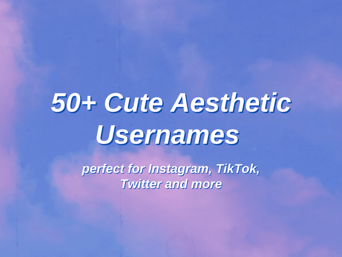 50+ Cute Aesthetic Username Ideas: The Ultimate List - TurboFuture
