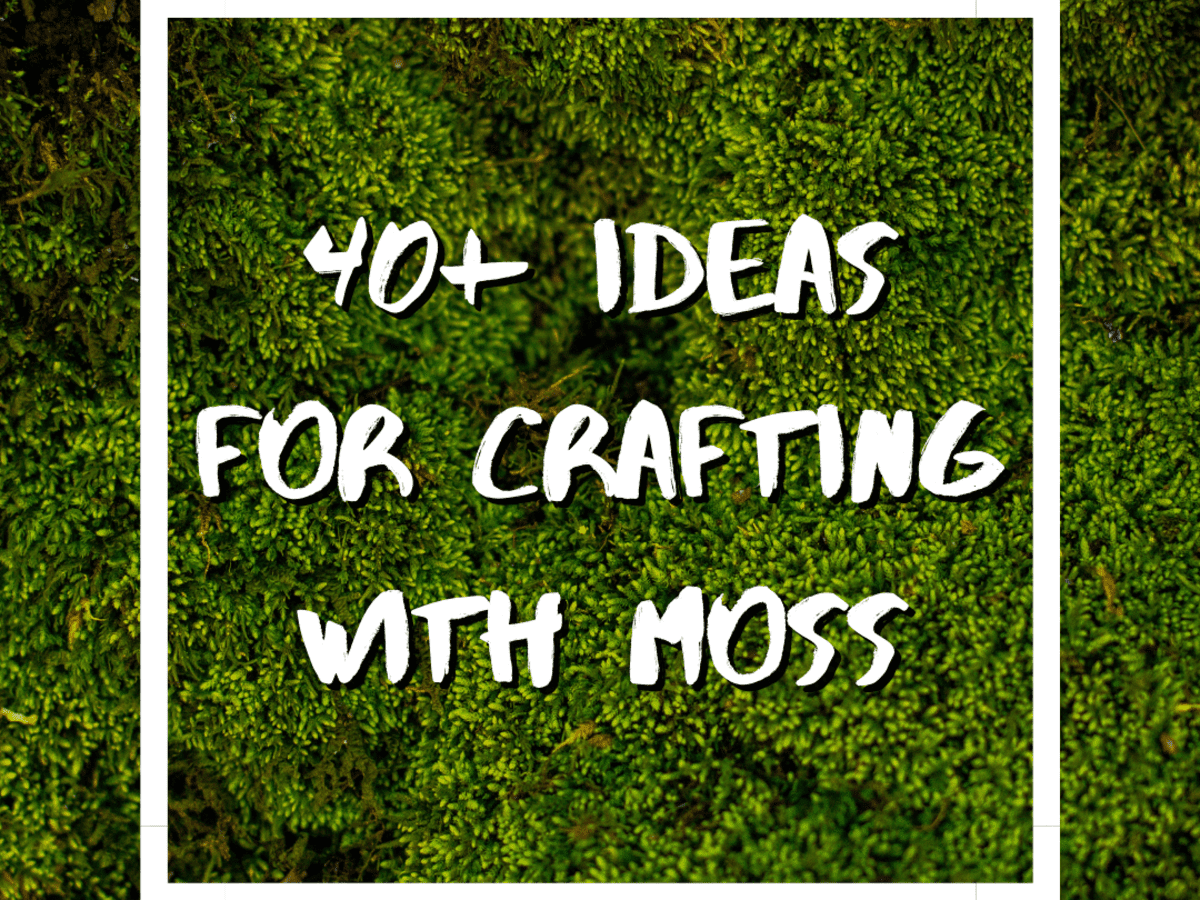 https://images.saymedia-content.com/.image/ar_4:3%2Cc_fill%2Ccs_srgb%2Cq_auto:eco%2Cw_1200/MTgzODcwODM5ODg2NzE4NjIy/ways-to-use-moss-in-crafts.png