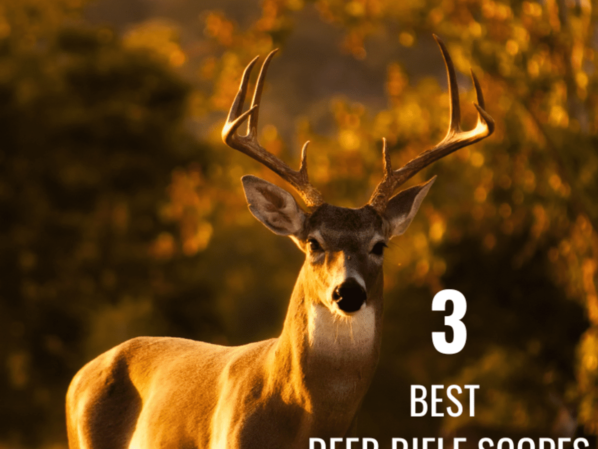 Best 3 Deer Rifle Scopes for Cheap: Under $100 for 2023 - HubPages