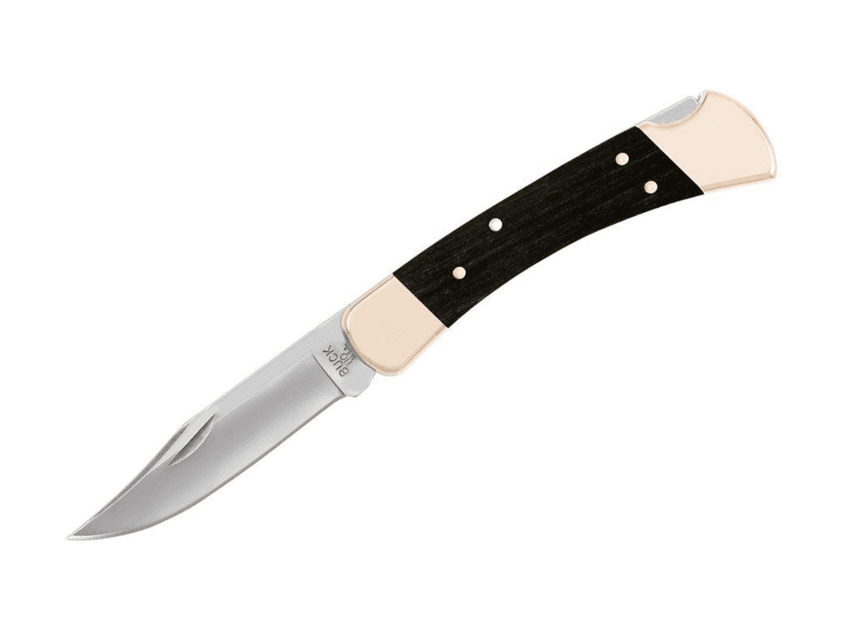 Buck Knives 110 Folding Hunter Lock Back Folding Knife 