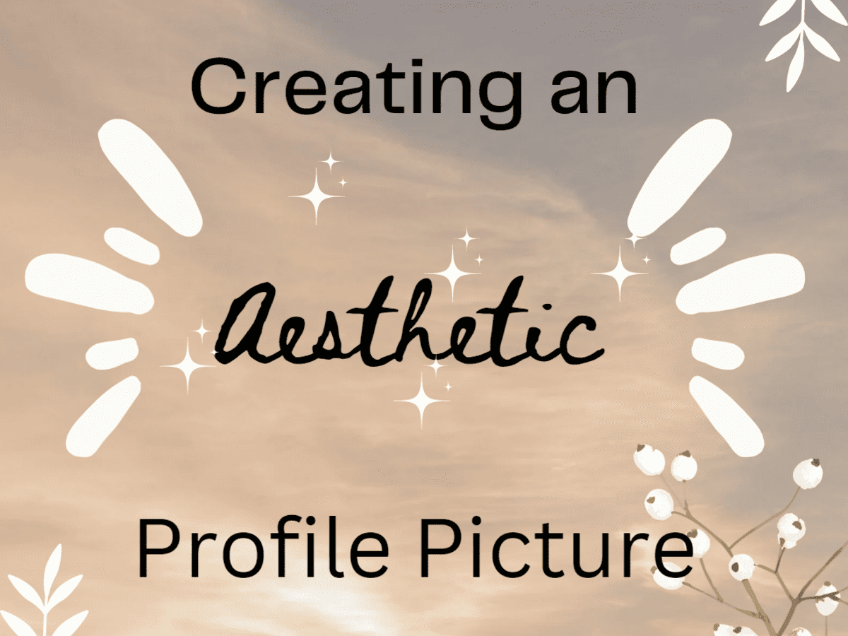 How to Create an Aesthetic PFP: The Ultimate Guide - TurboFuture