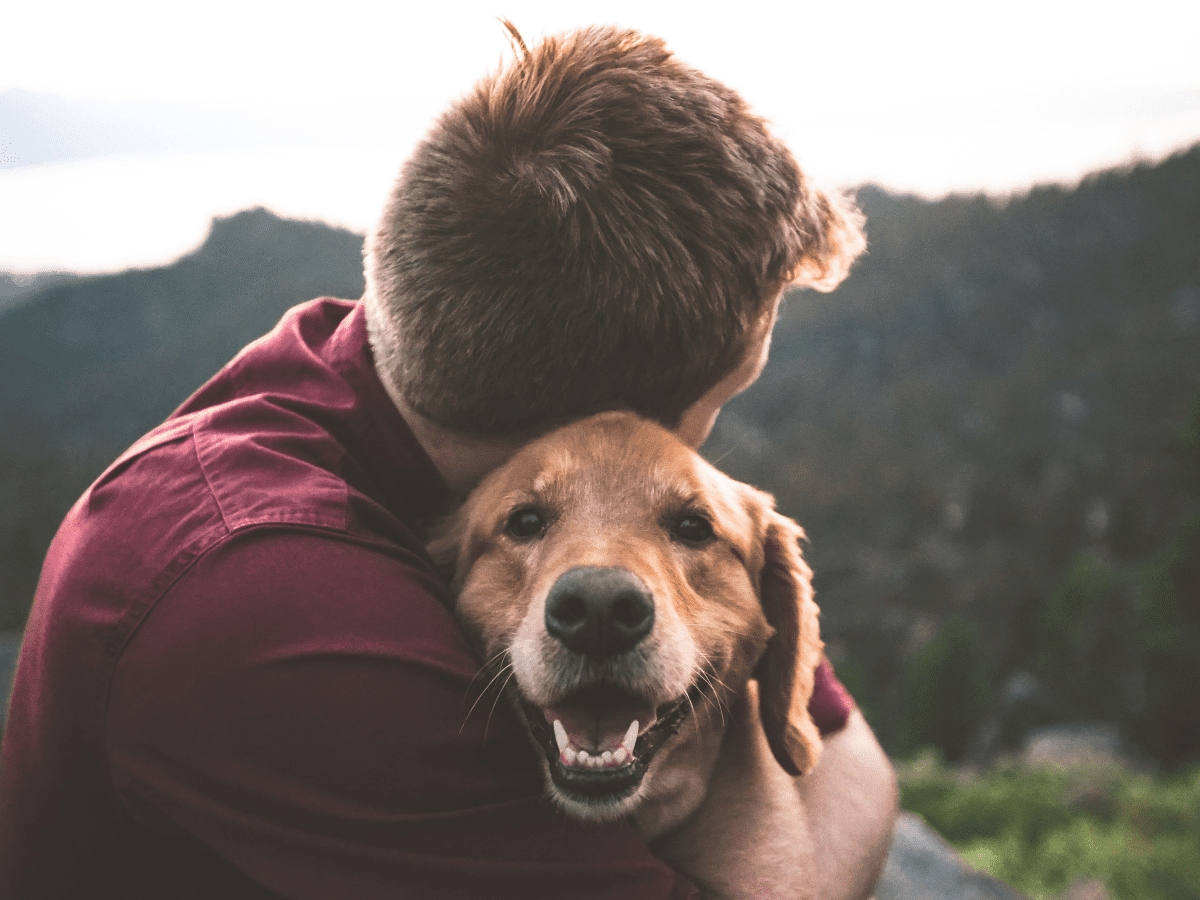 Why Dogs Bark at Men: How to Stop This Aggression - PetHelpful