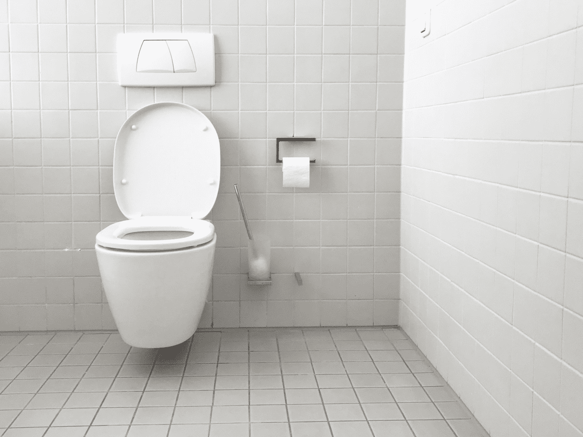 https://images.saymedia-content.com/.image/ar_4:3%2Cc_fill%2Ccs_srgb%2Cq_auto:eco%2Cw_1200/MTk3NDgwMTYyMzY2MzMzOTU4/all-about-toilet-parts.png