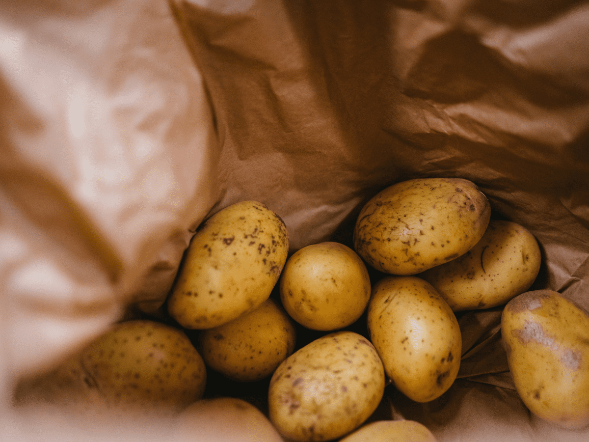 Why do potatoes grow in bags of soil have so many tubers? Here is the  answer 
