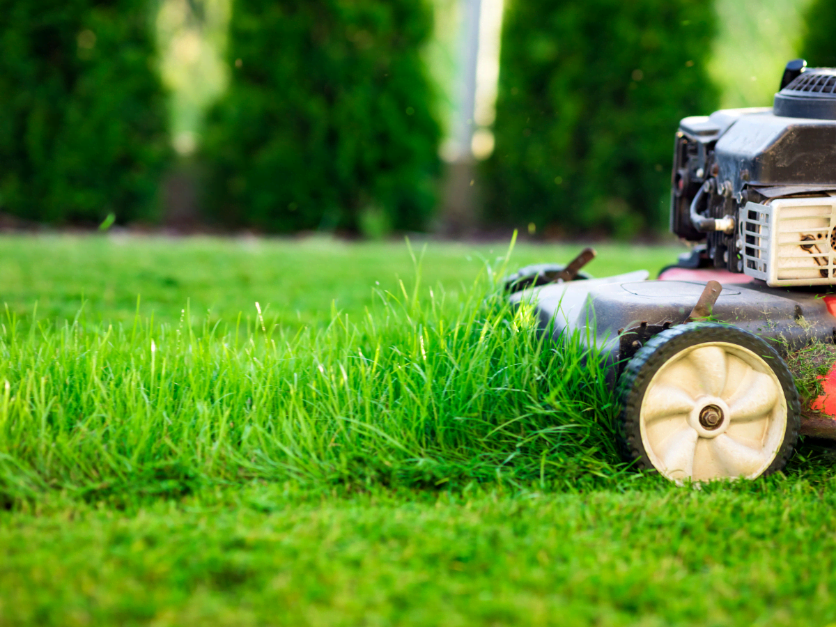 How often should you sharpen your lawnmower blades?