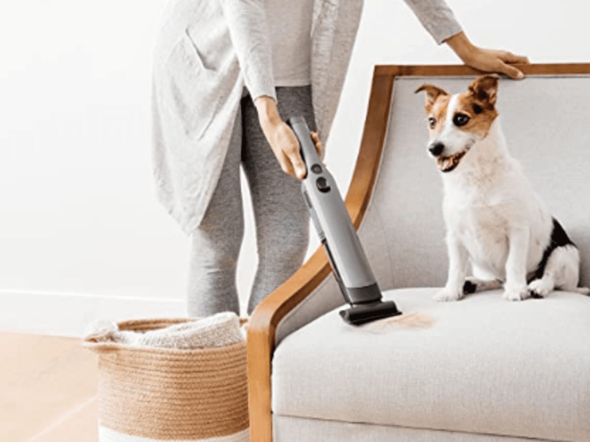 Black Decker FurBuster Cordless Handheld Vacuum for Pet Hair