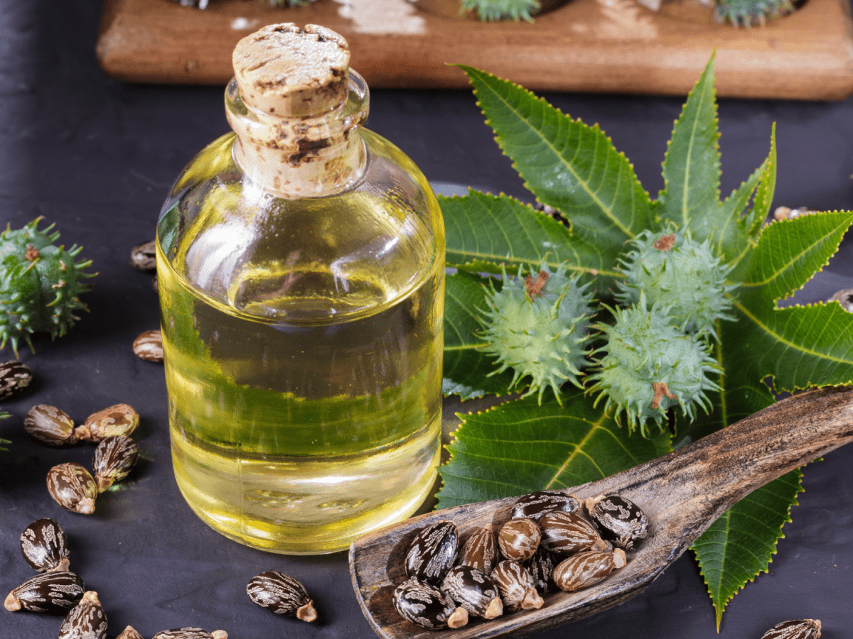 Ultimate Guide 25 Effective Uses for Castor Oil 