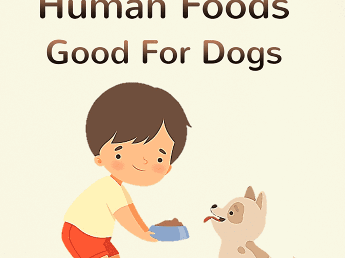 15 Human Foods Dogs Can Eat and 6 They Shouldn't