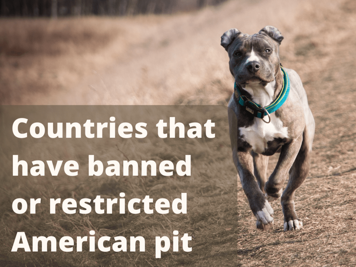 are pitbulls banned in usa