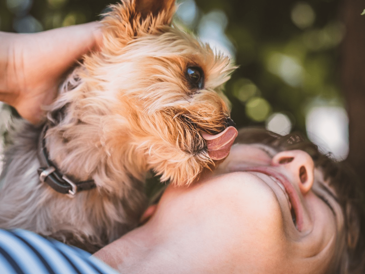 Should I let my dog lick my face?, Health & wellbeing