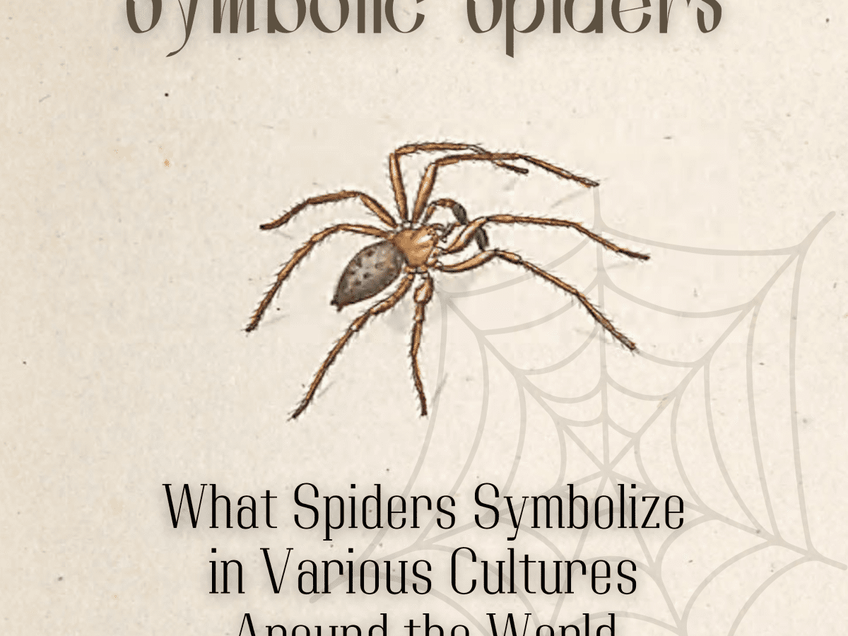 Spider and snake are remarkably similar in symbolism. Spider is creator;  she is death. On a Freudian level spider embodies woman. She is…