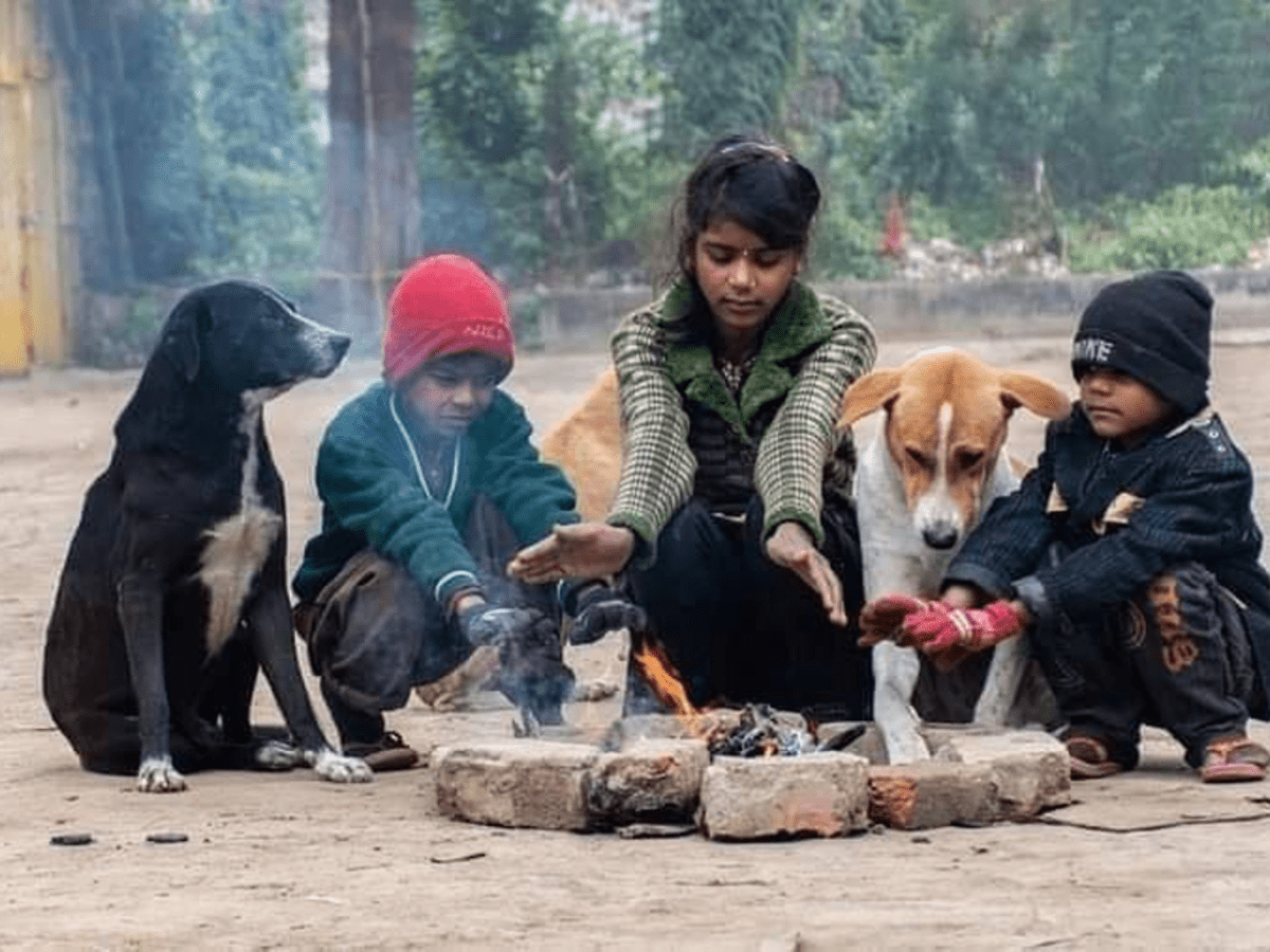 Hindu Dog Superstitions: 12 Auspicious & Inauspicious Signs - Exemplore