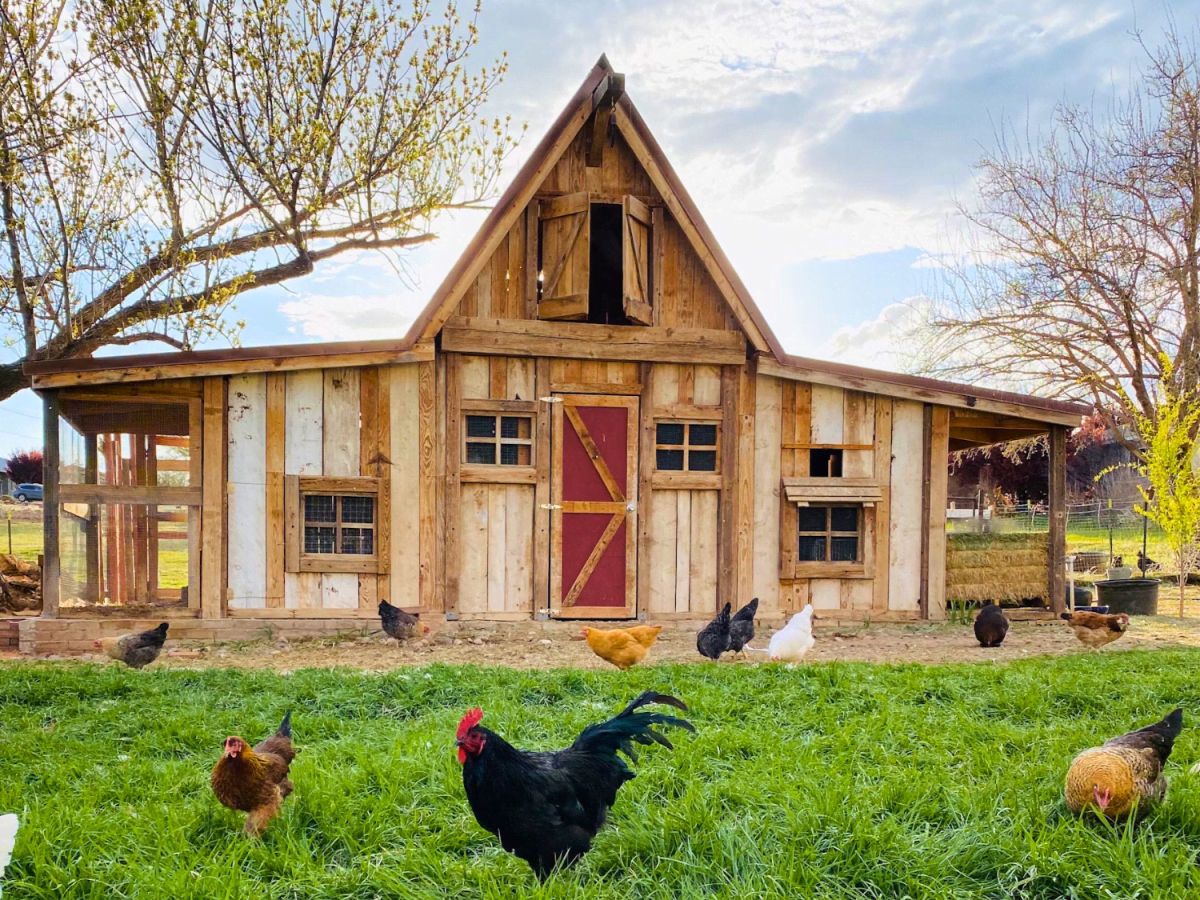 100+ Names for the Sims 4 ideas in 2020 names, unique baby names