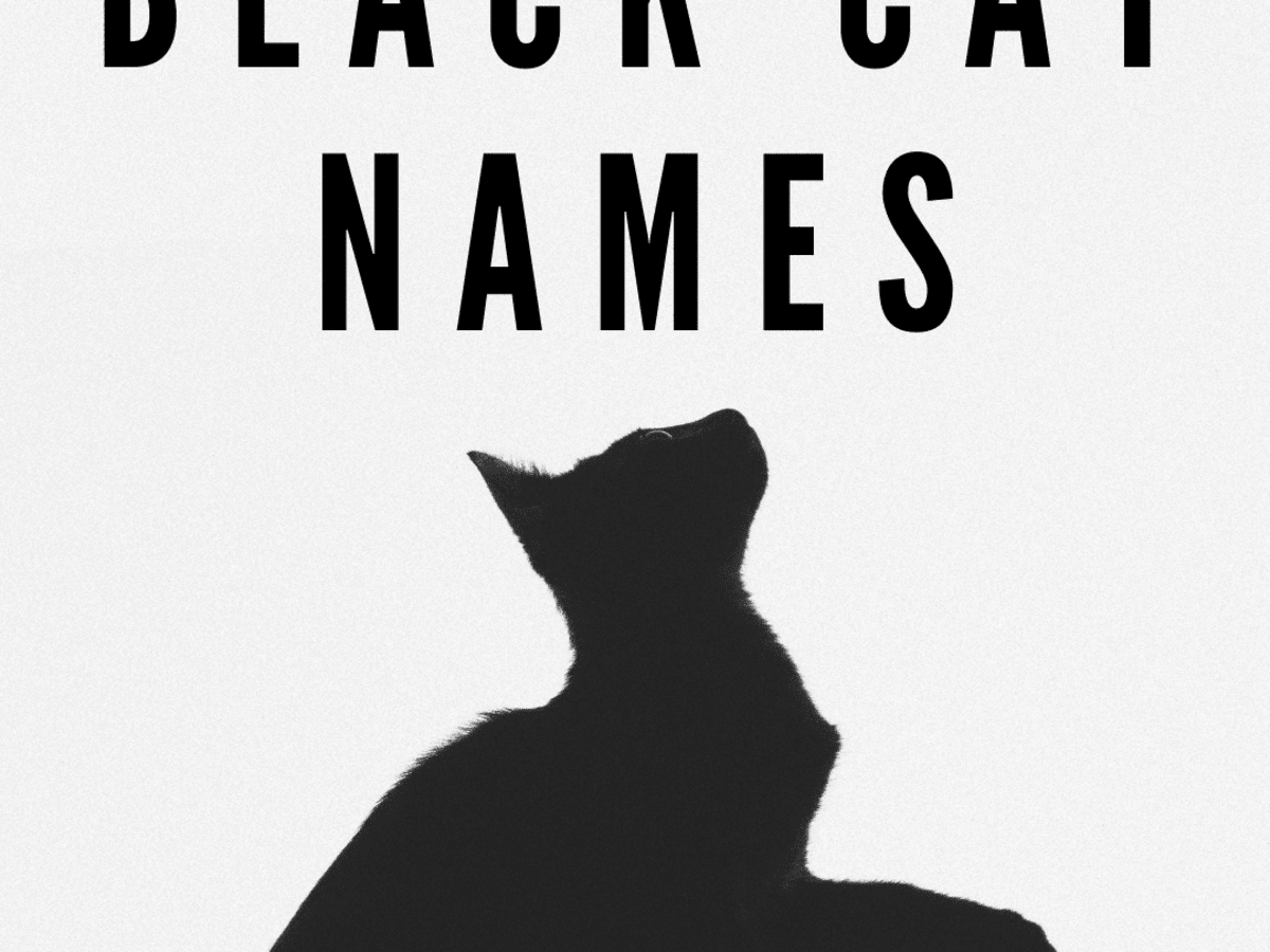 Top 100 Black Cat Names Pethelpful By Fellow Animal Lovers And Experts