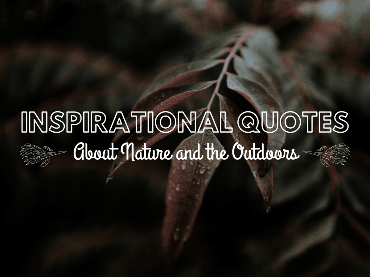 Inspirational Quotes About Nature And The Outdoors Holidappy