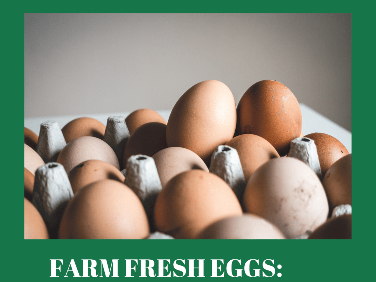 Bloom On Farm Fresh Eggs Interesting Facts Delishably Food And Drink