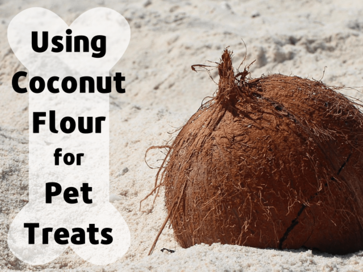 coconut flour for dog treats