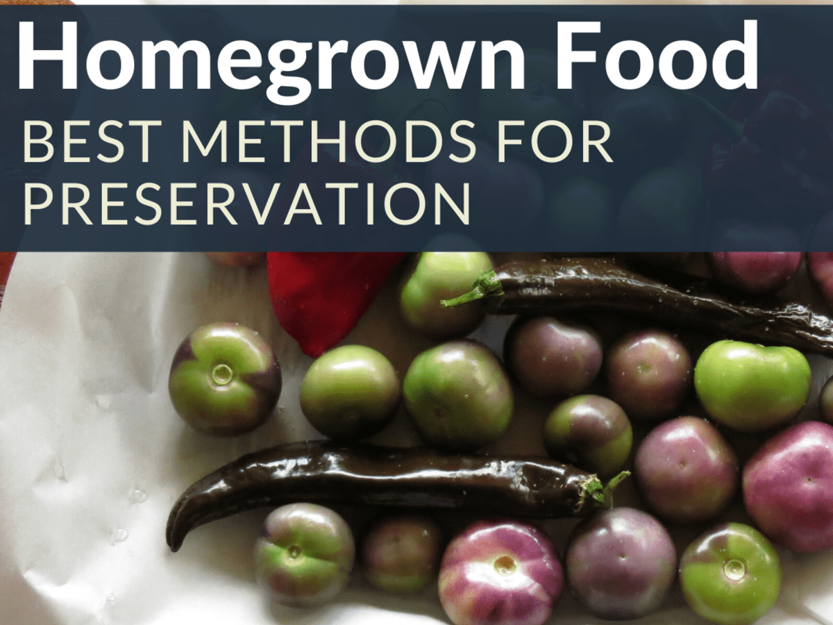 Home Preservation Methods The Advantages And Disadvantages Delishably Too much use of technology has resulted in an increase in waste products into the. the advantages and disadvantages