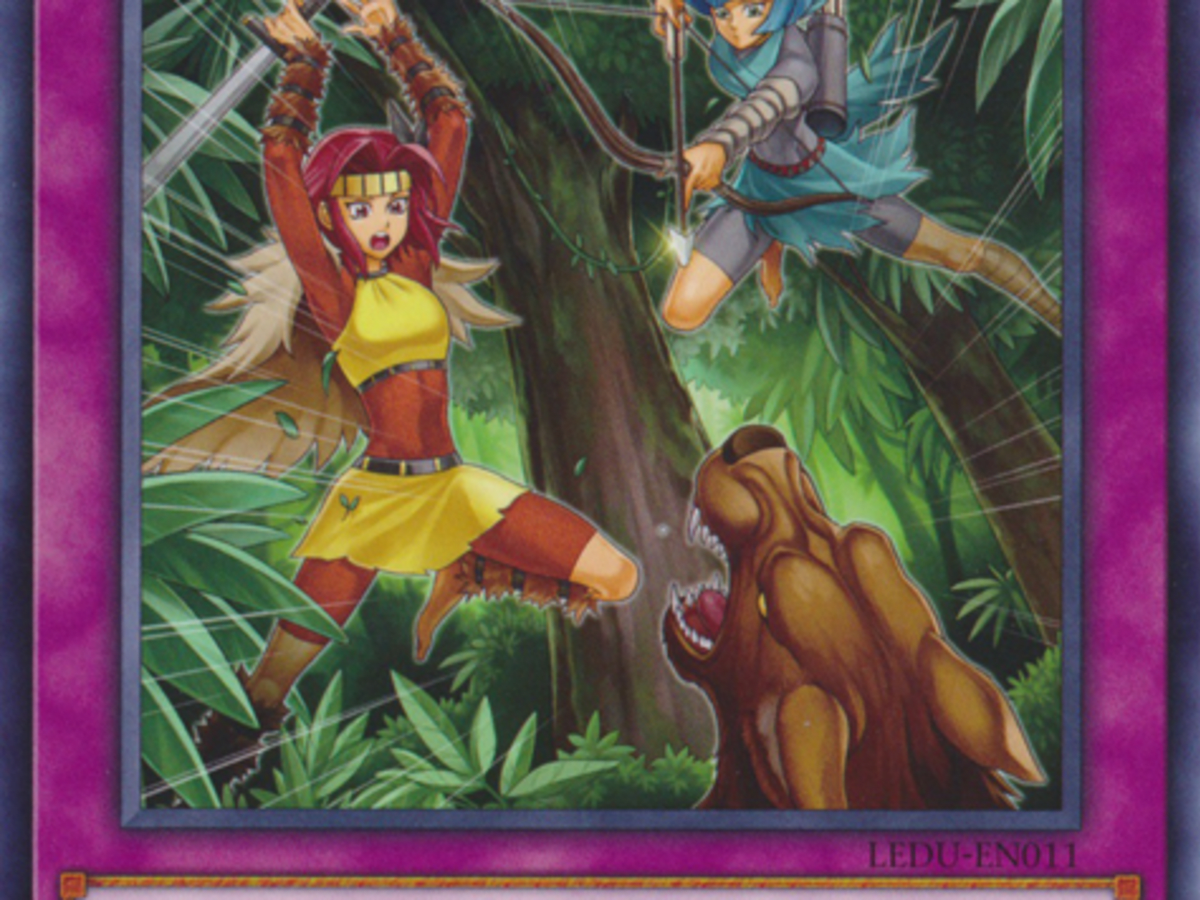 Top 10 Cards You Need for Your Amazoness "Yu-Gi-Oh!" Deck - HubPages