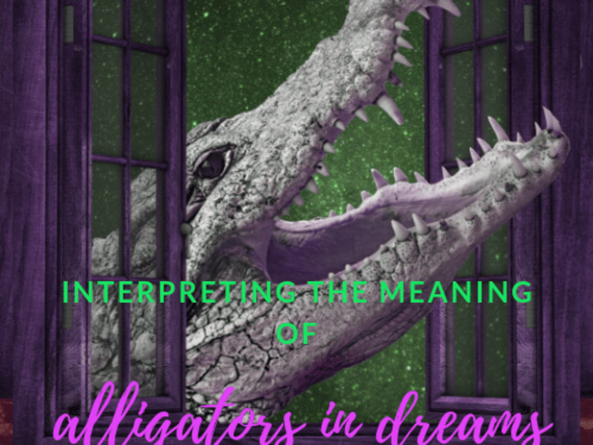 What Do Dreams About Alligators And Crocodiles Mean Hubpages