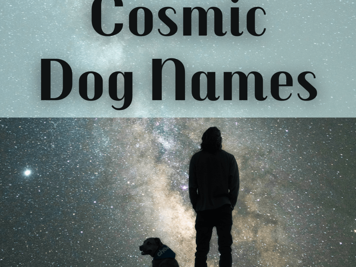 70 Cosmic Names For Dogs From The Heavens And Science Pethelpful By Fellow Animal Lovers And Experts