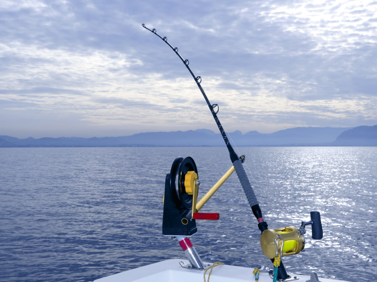 best wading fishing net Best Fishing Nets for 2026