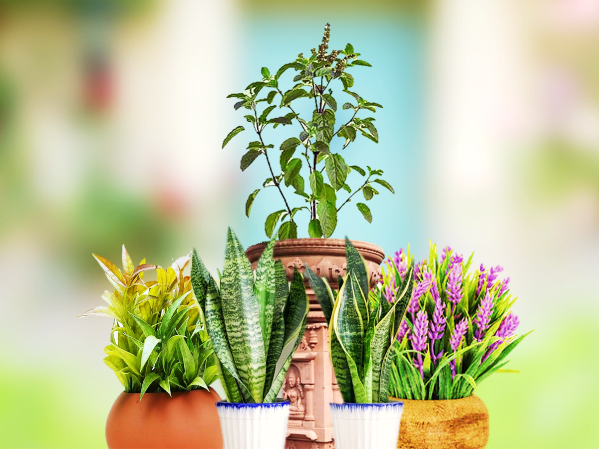bulk wild flower seeds Bulk Florida Wildflower Seed Mix main image 1