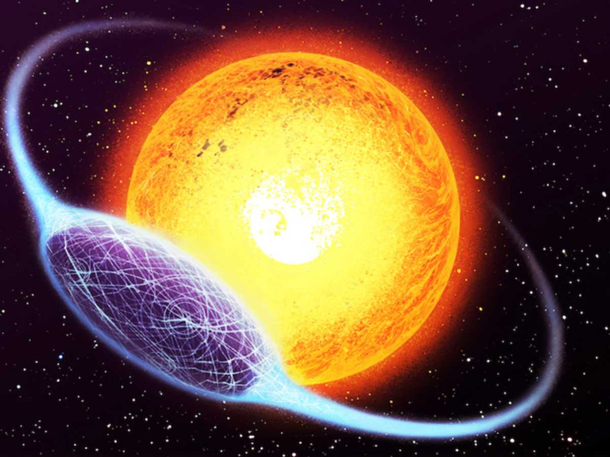 Полярная звезда геншин. Kic-846285. Звезда таби. Звезда фигура. Таби мейсон маргиела.