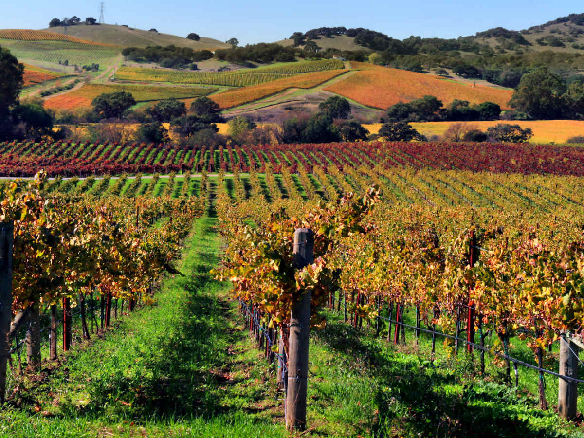7 of the Best Napa Valley Wineries to Tour - HubPages