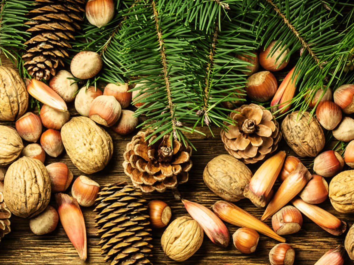 Christmas nuts discount
