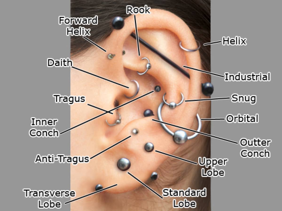 Different piercings to get discount