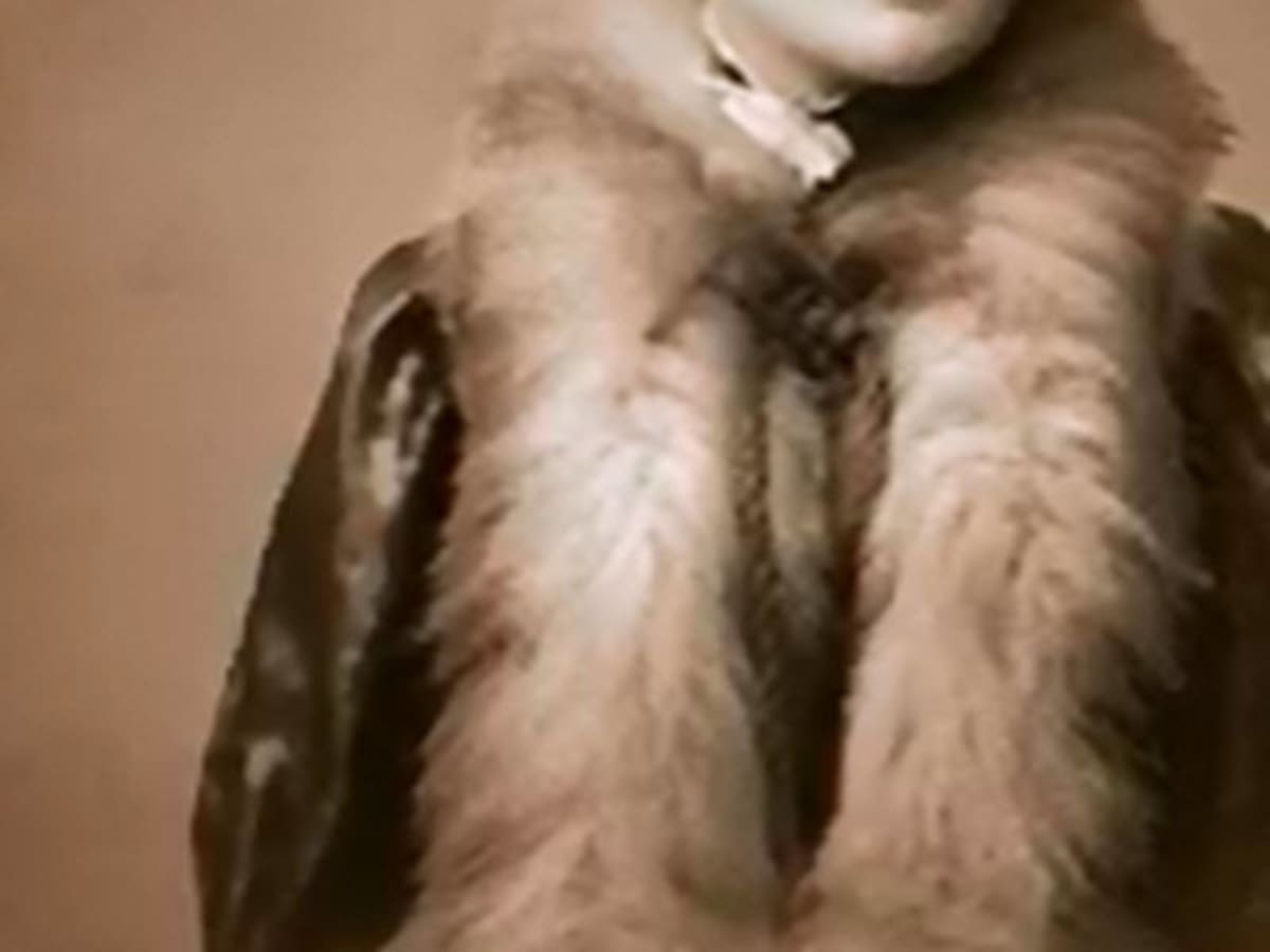 Sweet Murder: A Victorian Tale of Lust, Obsession and