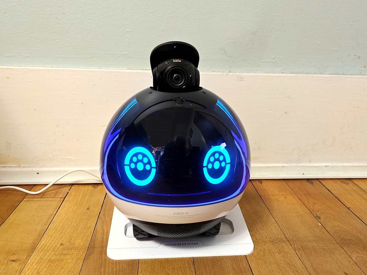 Review of the Enabot EBO X Family Companion Robot - HubPages
