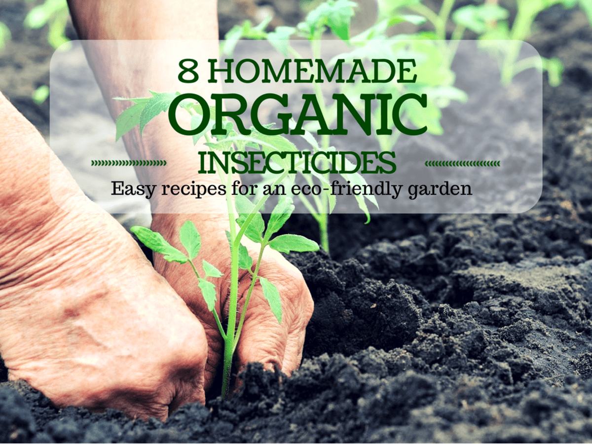 organic pesticides for vegetable garden