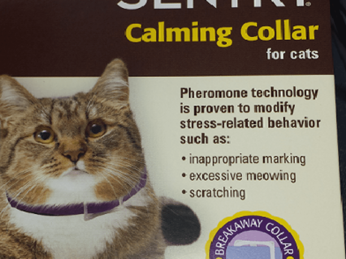 Cat discount behavior collar