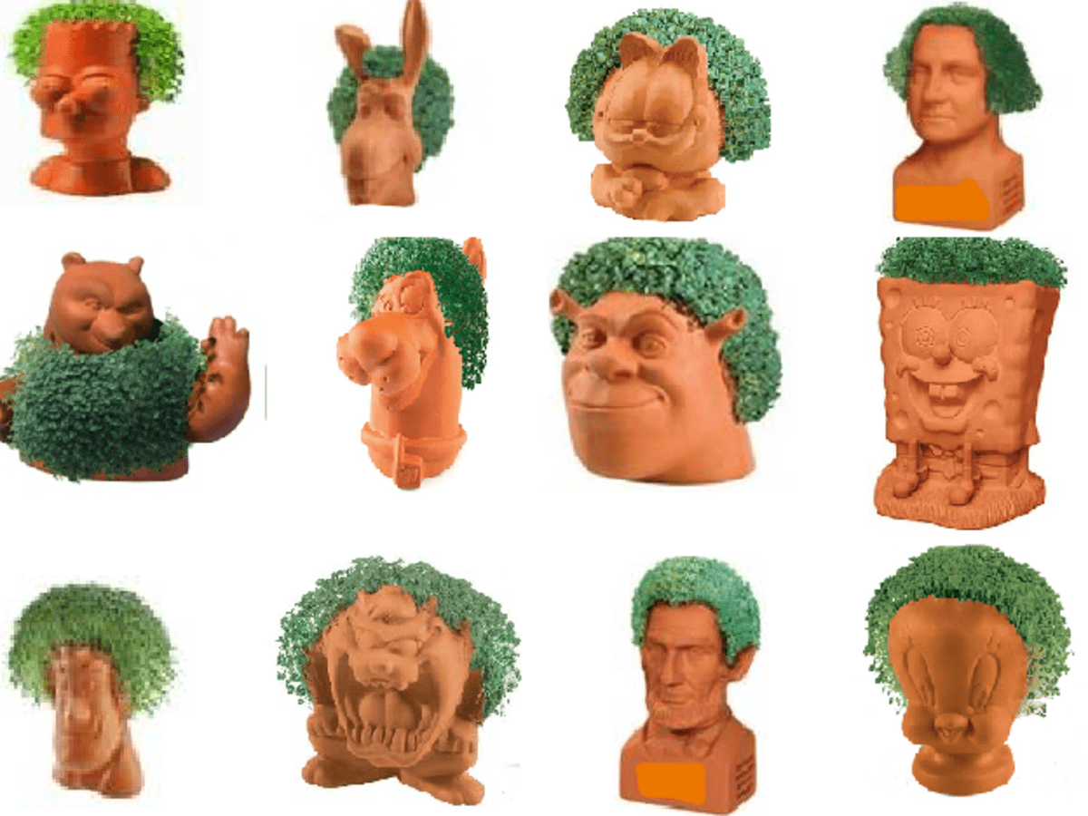 Is Chia Pet Review a Scam Dengarden