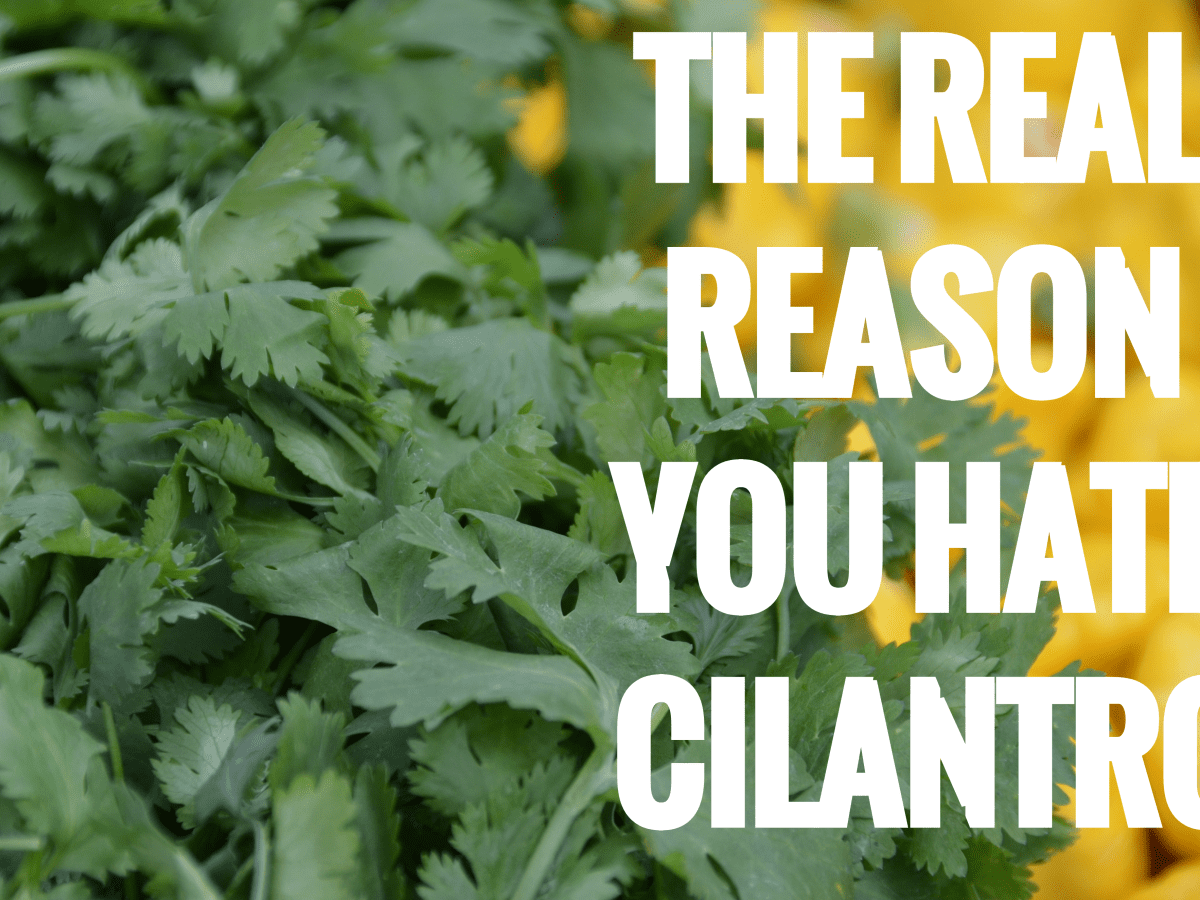 The Real Reason Why Cilantro Tastes Like Soap Delishably